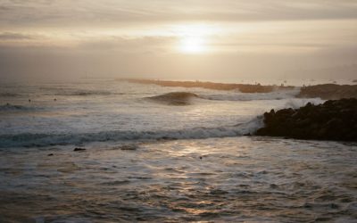 The AFI Ship Program 2026