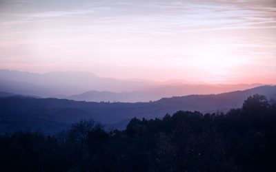 JFB Vinmonopolet Story 2026